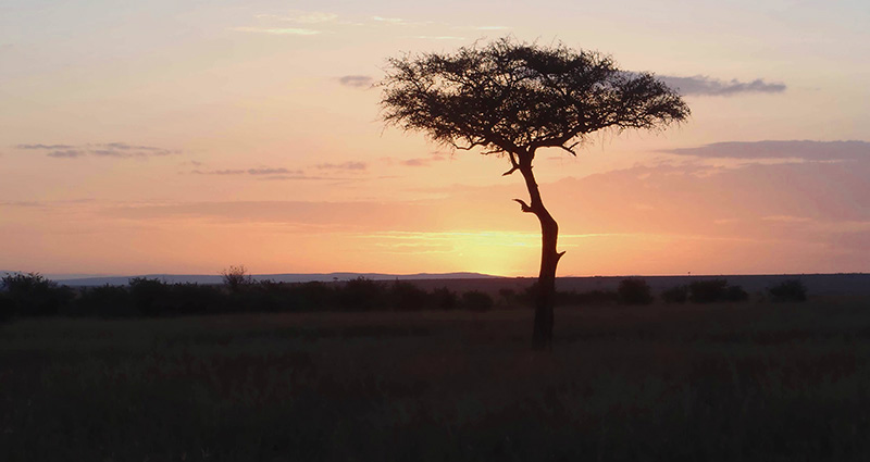 Africa Sunset